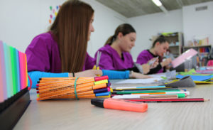 Técnico Superior en Educación Infantil amusal FP